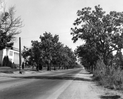 Canoga Park 1948